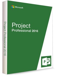 Project Pro 2016 Online