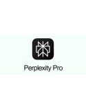 Perplexity Pro 1 an