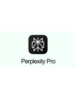 Perplexity Pro 1 an