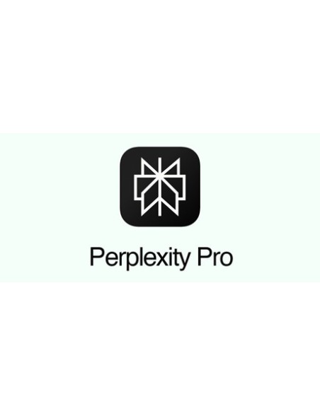 Perplexity Pro 1 an