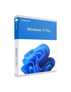 Win 11 Pro Édition boîte