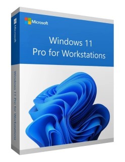 win 11 Pro for workstation