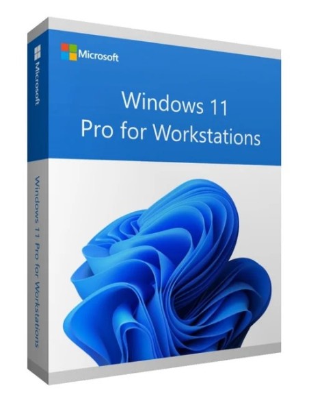 win 11 Pro for workstation