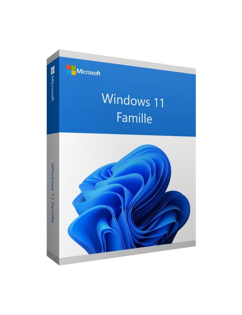 win 11 home Édition boîte