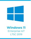 Win 11 Enterprise LTSC 2019