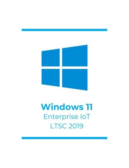 Win 11 Enterprise LTSC 2019