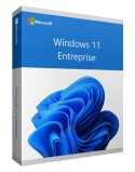 Win 11 Enterprise