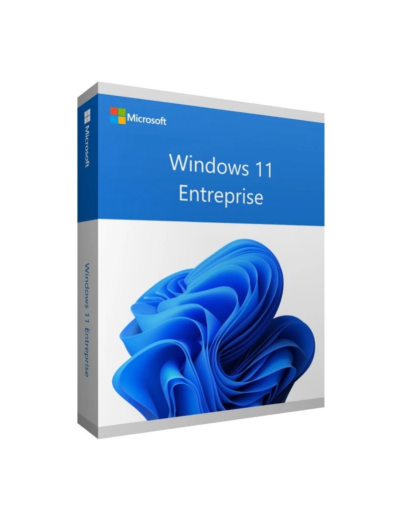 Win 11 Enterprise
