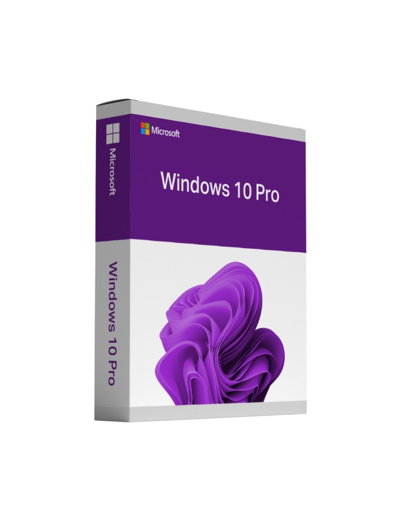 Win 10 Pro Édition boîte