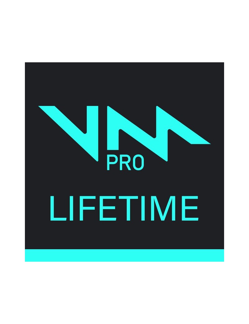 Voicemod PRO licence à vie