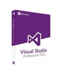 Visual Studio Pro 2022