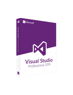 Visual Studio Pro 2019