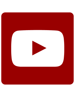 YouTube Premium 1 an